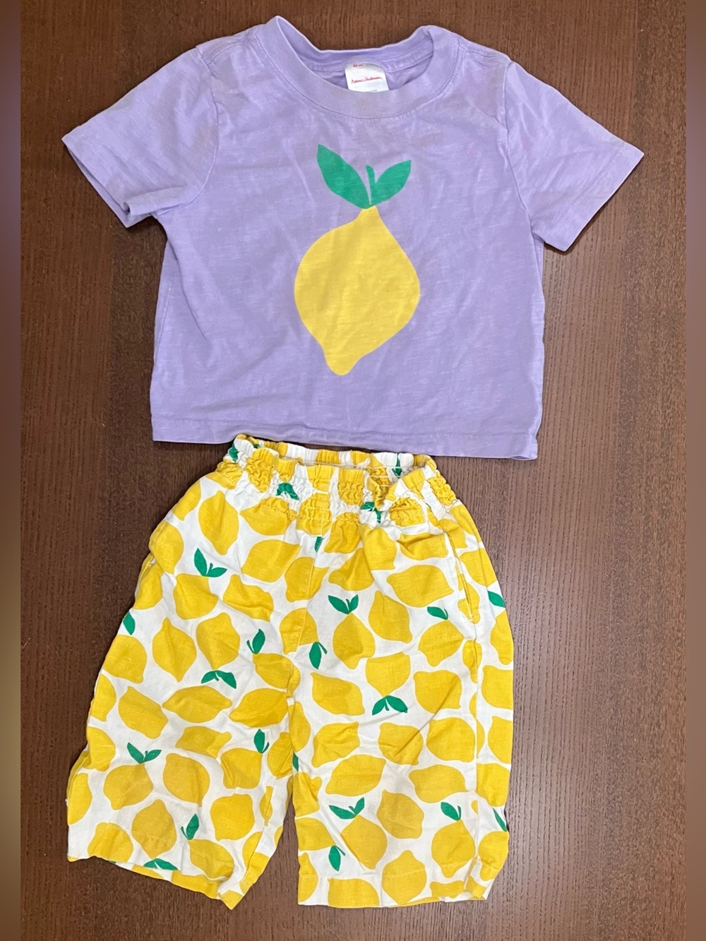 Hanna Andersson Purple Lemon Tee & Yellow Lemon-Print wide Pants